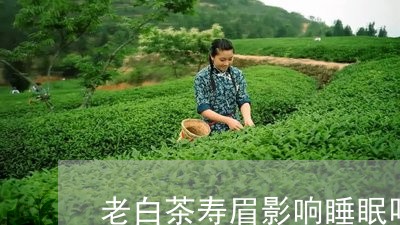 老白茶寿眉影响睡眠吗能喝吗/2023111501624