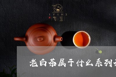 老白茶属于什么系列茶类/2023082686058