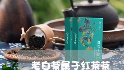 老白茶属于红茶茶/2023070815940