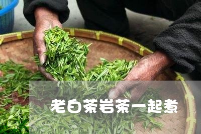 老白茶岩茶一起煮/2023070803837