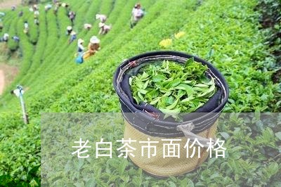 老白茶市面价格/2023061013168