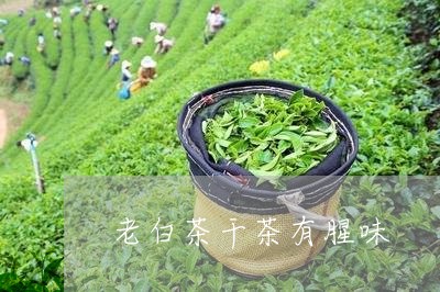 老白茶干茶有腥味/2023073179602