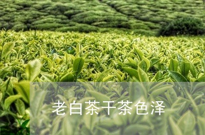 老白茶干茶色泽/2023061072815