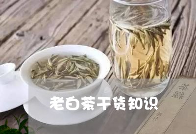 老白茶干货知识/2023061095051