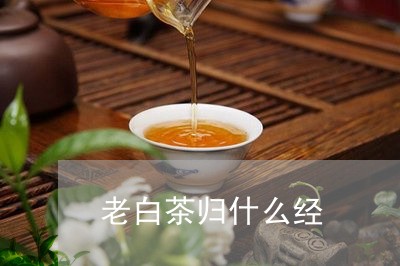 老白茶归什么经/2023061094830