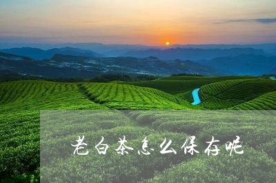 老白茶怎么保存呢/2023070813714