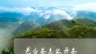 老白茶怎么开茶/2023061051808