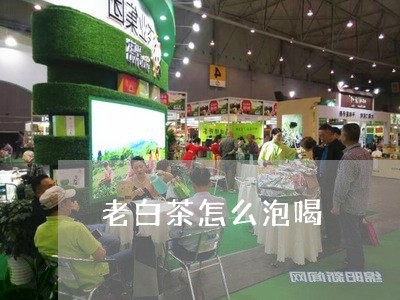 老白茶怎么泡喝/2023060910581