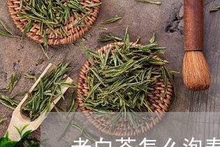 老白茶怎么泡寿眉的茶饼/2023092437382