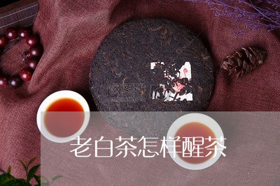 老白茶怎样醒茶/2023060929604