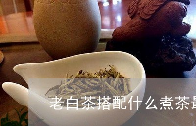 老白茶搭配什么煮茶最好/2023111607359