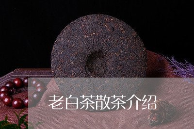 老白茶散茶介绍/2023060916159