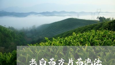 老白茶方片茶泡法/2023082557160