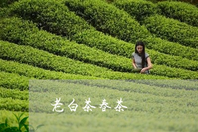 老白茶春茶/2023051182927