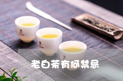 老白茶有何禁忌/2023060975050