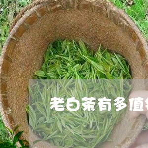 老白茶有多值钱/2023060915837