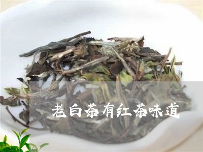 老白茶有红茶味道/2023071087059