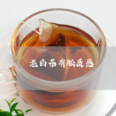 老白茶有胶质感/2023060948384