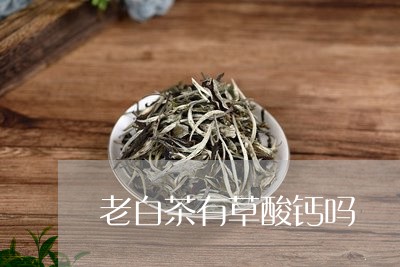 老白茶有草酸钙吗/2023071004159