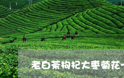 老白茶枸杞大枣菊花一起煮/2023042879381