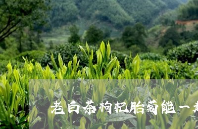 老白茶枸杞胎菊能一起泡吗/2023042894169