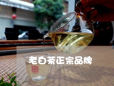 老白茶正宗品牌/2023061015169