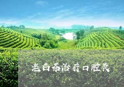 老白茶治疗口腔炎/2023073194715