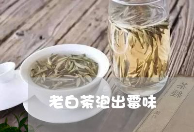 老白茶泡出霉味/2023061068501