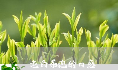 老白茶泡的口感/2023061060373