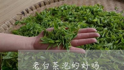 老白茶泡的好吗/2023061015278