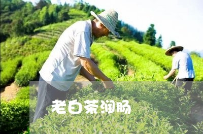 老白茶润肠/2023051184069