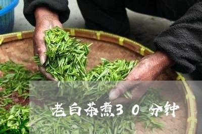 老白茶煮30分钟/2023073195736