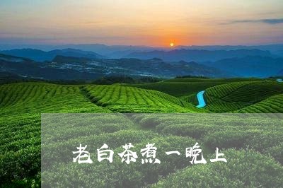 老白茶煮一晚上/2023073188272