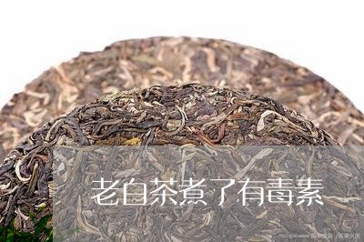 老白茶煮了有毒素/2023071177039