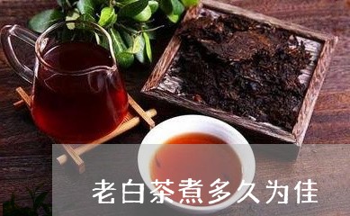 老白茶煮多久为佳/2023071127490