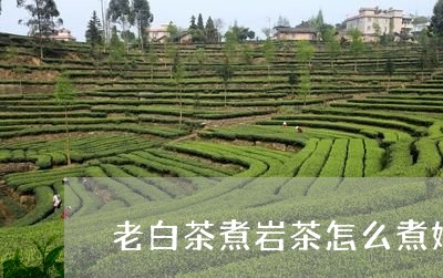 老白茶煮岩茶怎么煮好喝/2023082525938