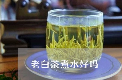 老白茶煮水好吗/2023061037372