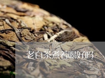 老白茶煮着喝好吗/2023071161604