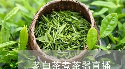 老白茶煮茶器直播/2023071179481