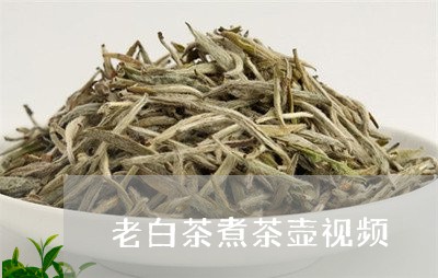 老白茶煮茶壶视频/2023071153036