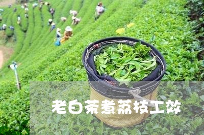 老白茶煮荔枝工效/2023071195159