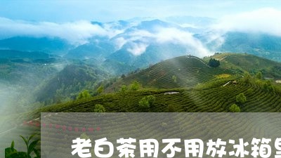 老白茶用不用放冰箱里储存/2023042833705