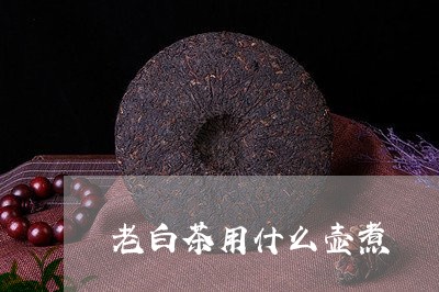 老白茶用什么壶煮/2023071129525