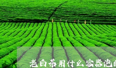 老白茶用什么容器泡的最好/2023042895149