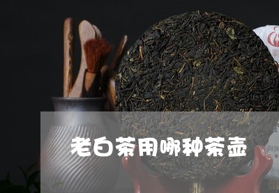 老白茶用哪种茶壶/2023071170603