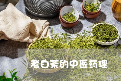 老白茶的中医药理/2023071118461