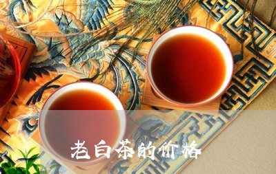 老白茶的价格/2023042999233