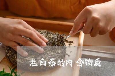 老白茶的内含物质/2023071143795