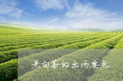 老白茶的出汤要点/2023071136361