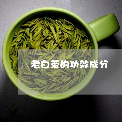 老白茶的功效成分/2023071179394